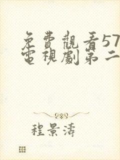 免费观看57集电视剧第二次也很美封面