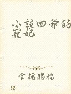 小说四爷的心尖宠妃