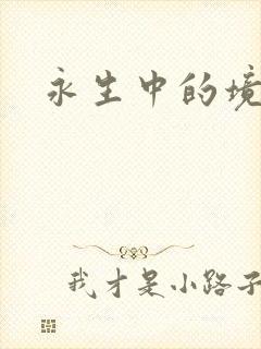 永生中的境界