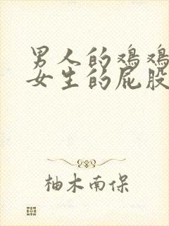 男人的鸡鸡捅进女生的屁股封面