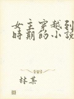 女主穿越到北宋时期的小说