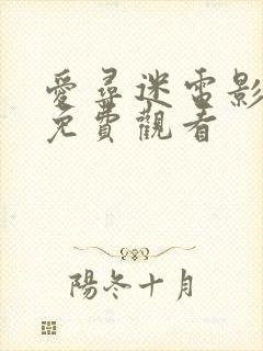 爱寻迷电影全集免费观看