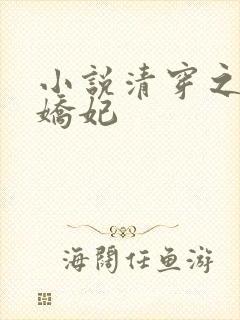 小说清穿之太子娇妃