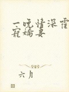 一晚情深霍少溺宠娇妻封面