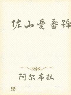 佐山爱番号作品