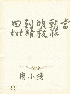 回到明朝当王爷txt精校版封面