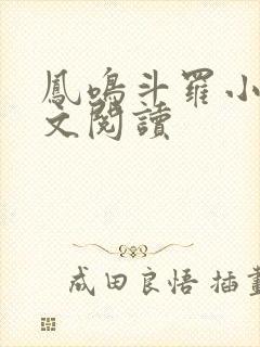 凤鸣斗罗小说全文阅读