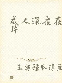 成人深夜在线看片