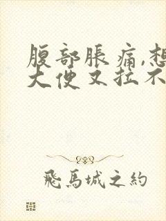 腹部胀痛,想拉大便又拉不出来是什么原因