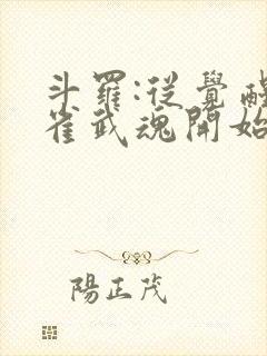 斗罗:从觉醒朱雀武魂开始免费阅读