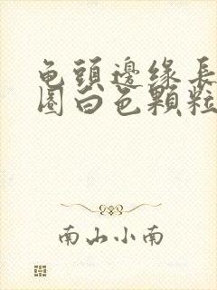 龟头边缘长了一圈白色颗粒还很痒