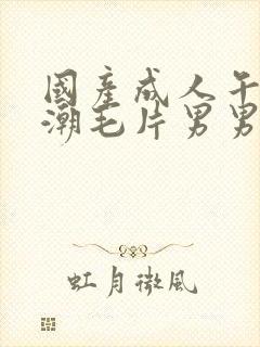 国产成人午夜高潮毛片男男爱