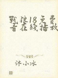 战狼18免费观看在线播放国语高清