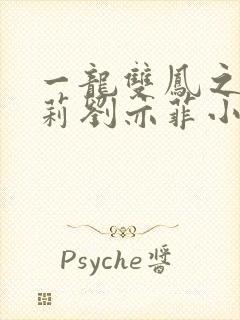 一龙双凤之刘晓莉刘亦菲小说