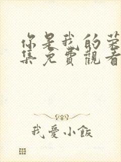 你是我的荣耀全集免费观看完整版