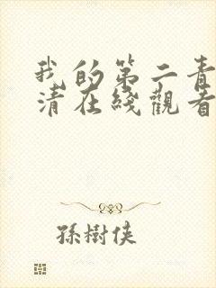 我的第二青春高清在线观看