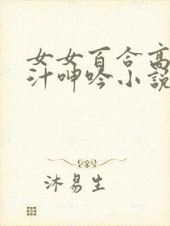 女女百合高h喷汁呻吟小说