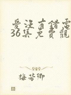 爱没有错电视剧36集免费观看