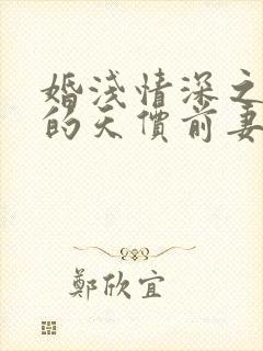 婚浅情深之总裁的天价前妻全文免费