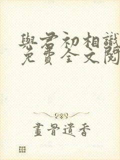 与君初相识小说免费全文阅读