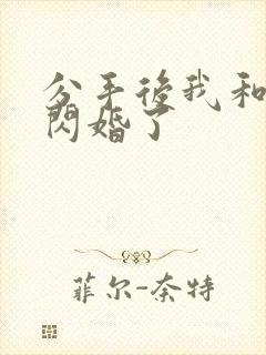 分手后我和女神闪婚了