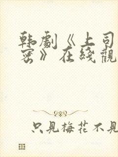 韩剧《上司的秘密》在线观看全集免费