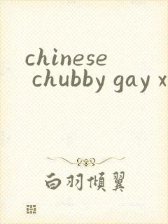 chinese chubby gay xxx封面