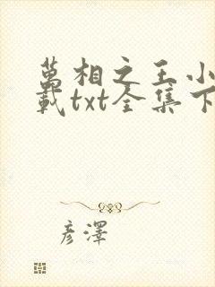 万相之王小说下载txt全集下载