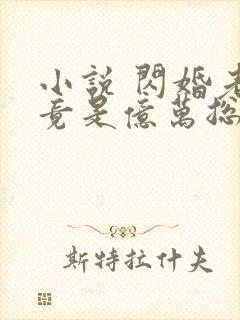 小说 闪婚老公竟是亿万总裁