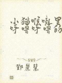 小猫喉咙里一直呼噜呼噜的怎么回事