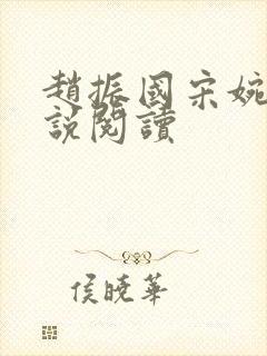 赵振国宋婉清小说阅读