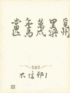 当年万里觅封侯匹马戍梁州什么意思