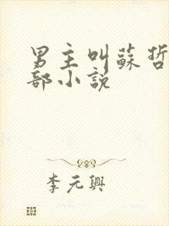 男主叫苏哲的全部小说