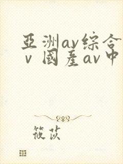 亚洲av综合aⅴ国产av中文一