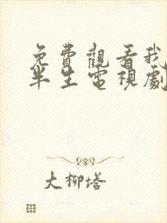 免费观看我的后半生电视剧全集