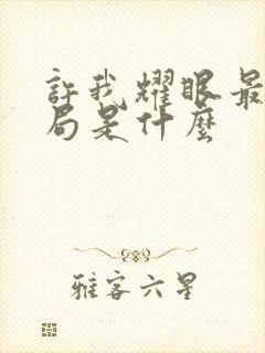 许我耀眼最后结局是什么