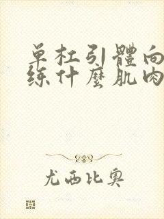 单杠引体向上训练什么肌肉