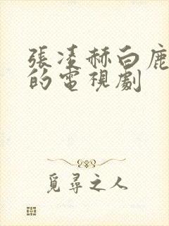 张凌赫白鹿合作的电视剧