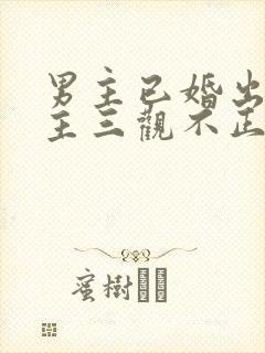 男主已婚出轨女主三观不正小说