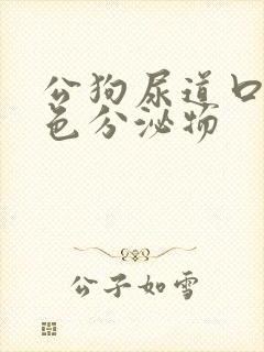 公狗尿道口有黄色分泌物