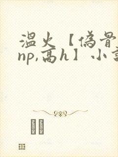 温火【伪骨科,np,高h】小说