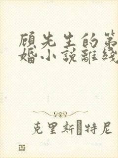 顾先生的第一宠婚小说离线下载