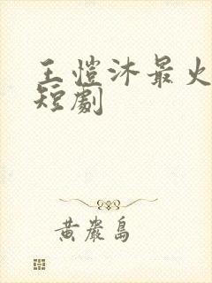 王恺沐最火5部短剧封面