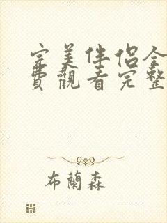 完美伴侣全集免费观看完整版封面