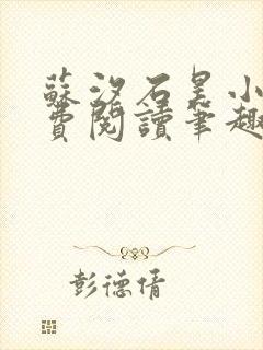 苏汐石昊小说免费阅读笔趣阁