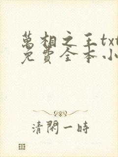 万相之王txt免费全本小说笔趣阁