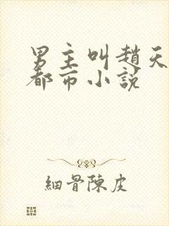 男主叫赵天宇的都市小说