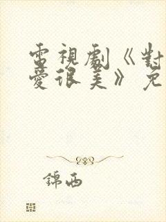 电视剧《对你的爱很美》免费观看