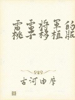 雷电将军的惩罚桃子移植版下载