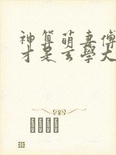 神算萌妻傅太太才是玄学大佬小说封面